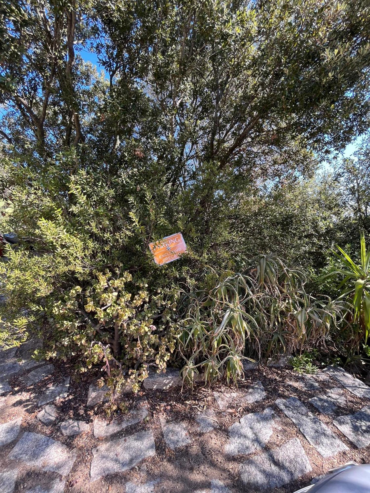Venti Di Vacanza - Levante & Grecale Olbia Dış mekan fotoğraf