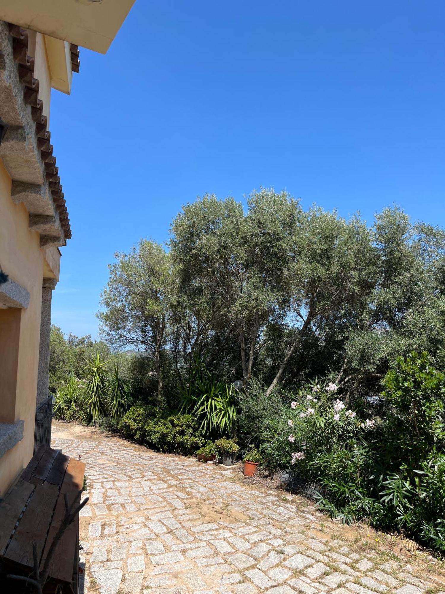 Venti Di Vacanza - Levante & Grecale Olbia Dış mekan fotoğraf